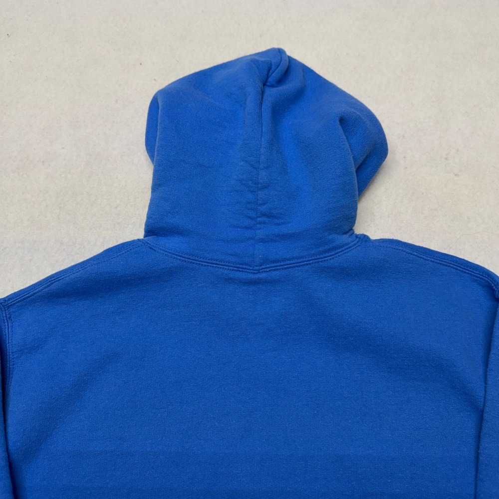 Detroit Lions Hoodie Sweatshirt NFL Team Apparel Graphic Blue Cotton Blend Small - Picture 11 of 13